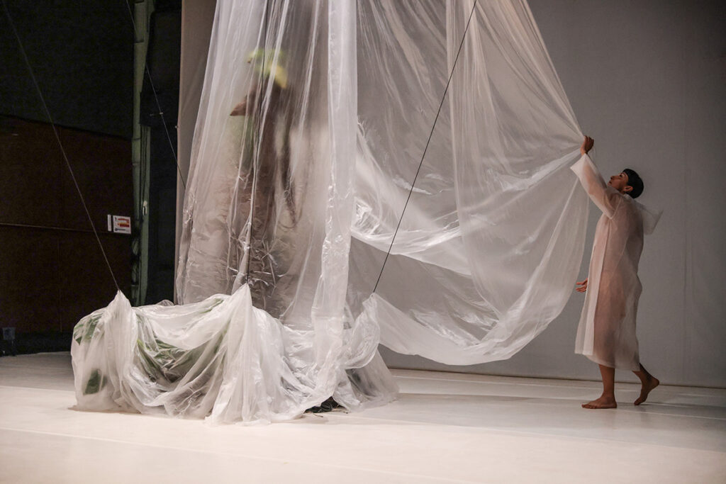 web_Yasminne_Lepe_Etat_Vegetal_Arnaud Bouvier7 Yasminee Lepe - état végétal - danse