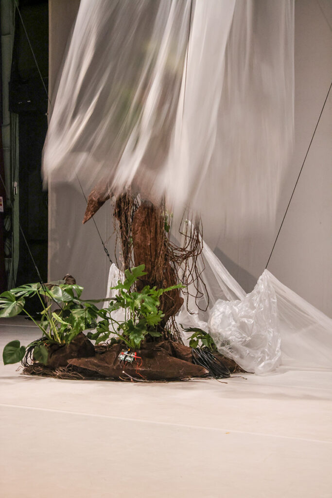 web_Yasminne_Lepe_Etat_Vegetal_Arnaud Bouvier8 Yasminee Lepe - état végétal - danse